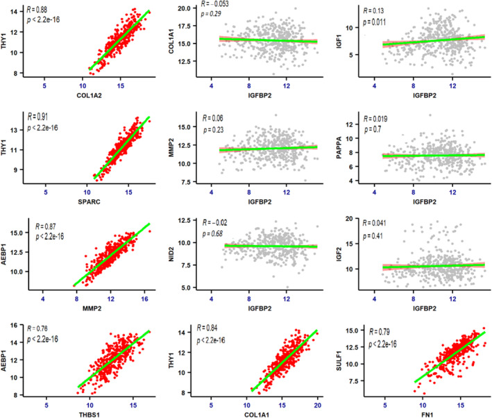 PMC11757912 – cnr270126-fig-0004