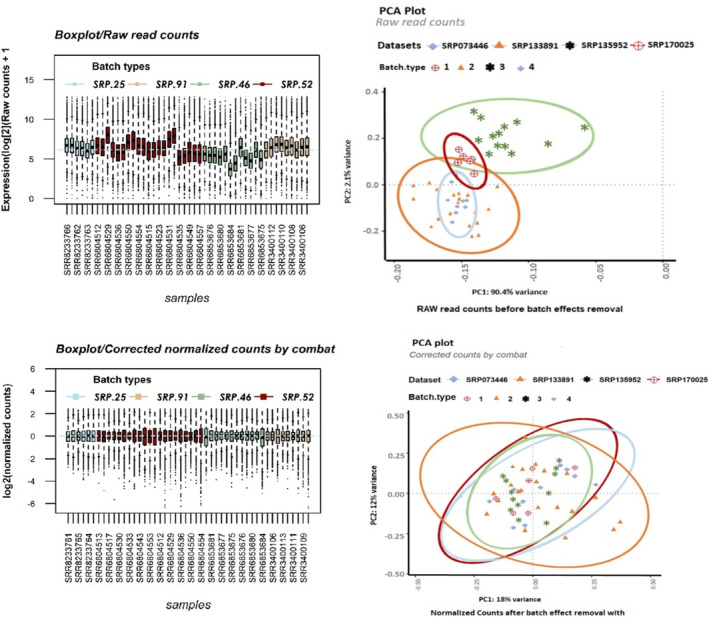 PMC11757912 – cnr270126-fig-0002
