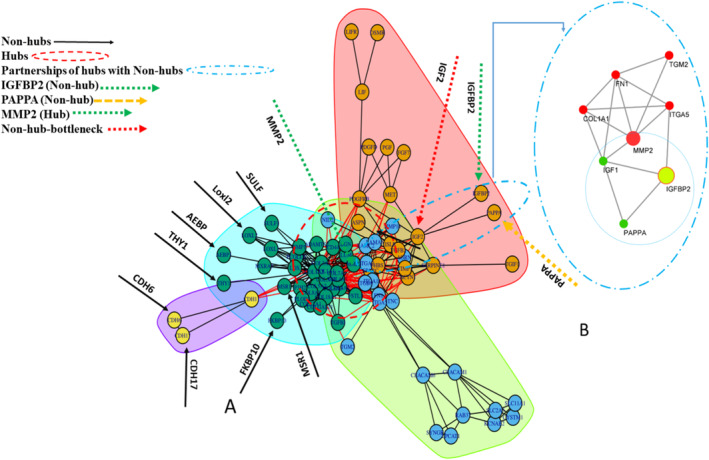 PMC11757912 – cnr270126-fig-0003