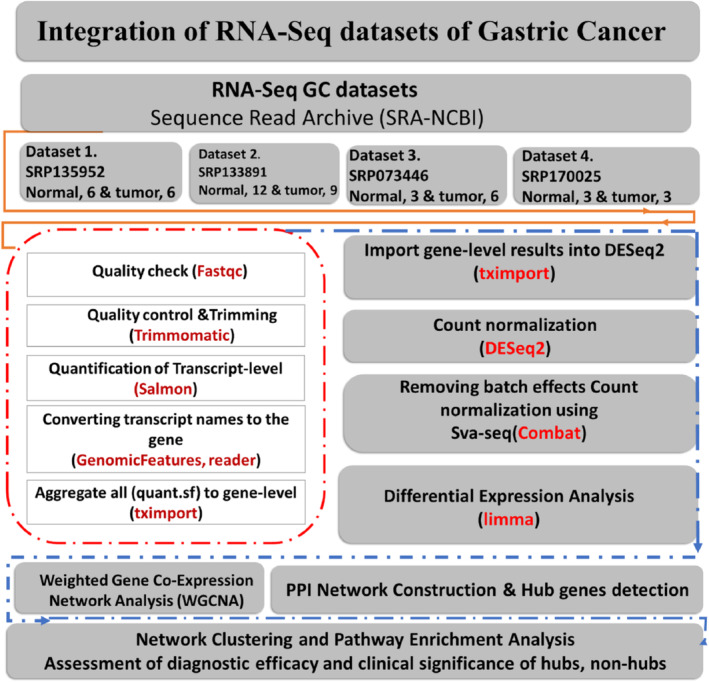 PMC11757912 – cnr270126-fig-0001