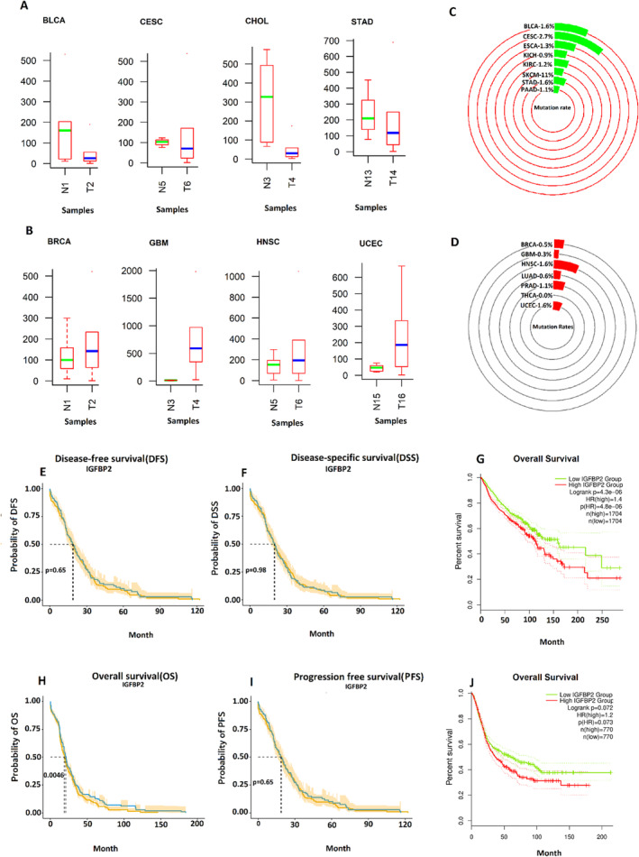 PMC11757912 – cnr270126-fig-0005