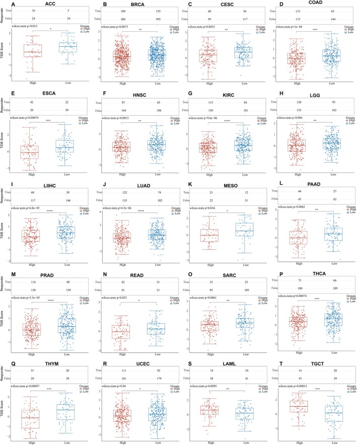 PMC11932960 – cnr270188-fig-0009