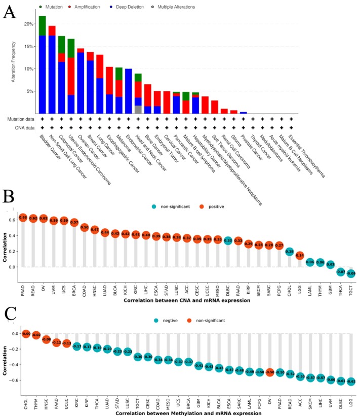 PMC11932960 – cnr270188-fig-0006
