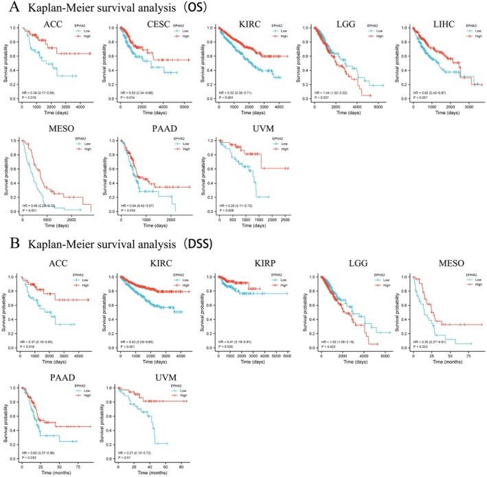 PMC11932960 – cnr270188-fig-0003