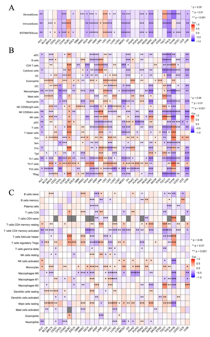 PMC11932960 – cnr270188-fig-0007