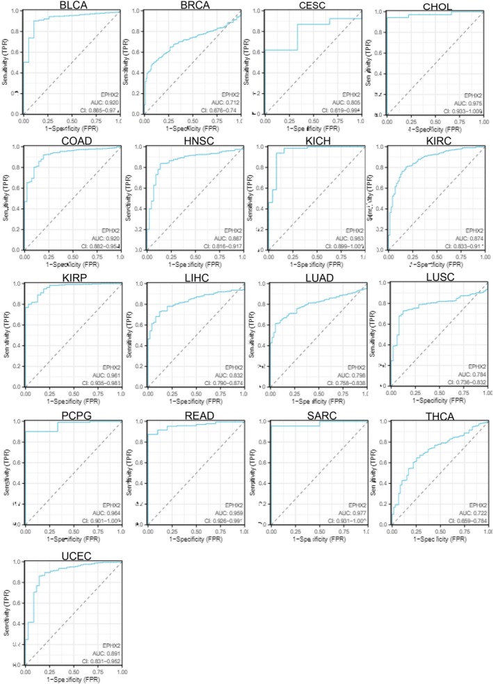 PMC11932960 – cnr270188-fig-0005