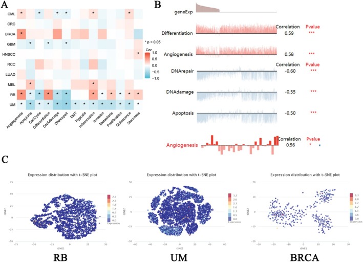 PMC11932960 – cnr270188-fig-0010