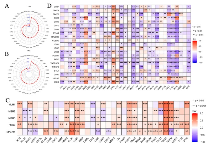 PMC11932960 – cnr270188-fig-0008