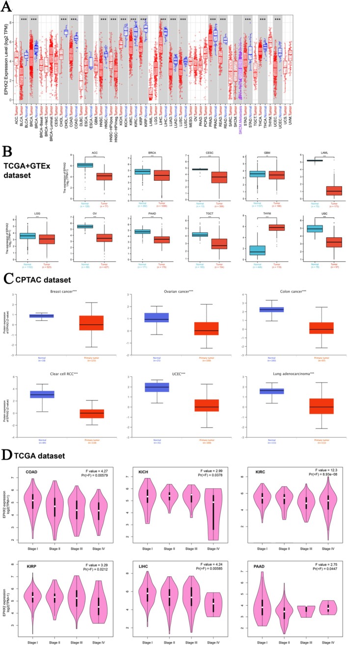PMC11932960 – cnr270188-fig-0001
