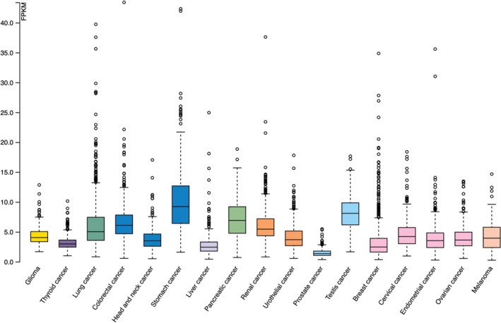 PMC12183607 – cnr270259-fig-0001