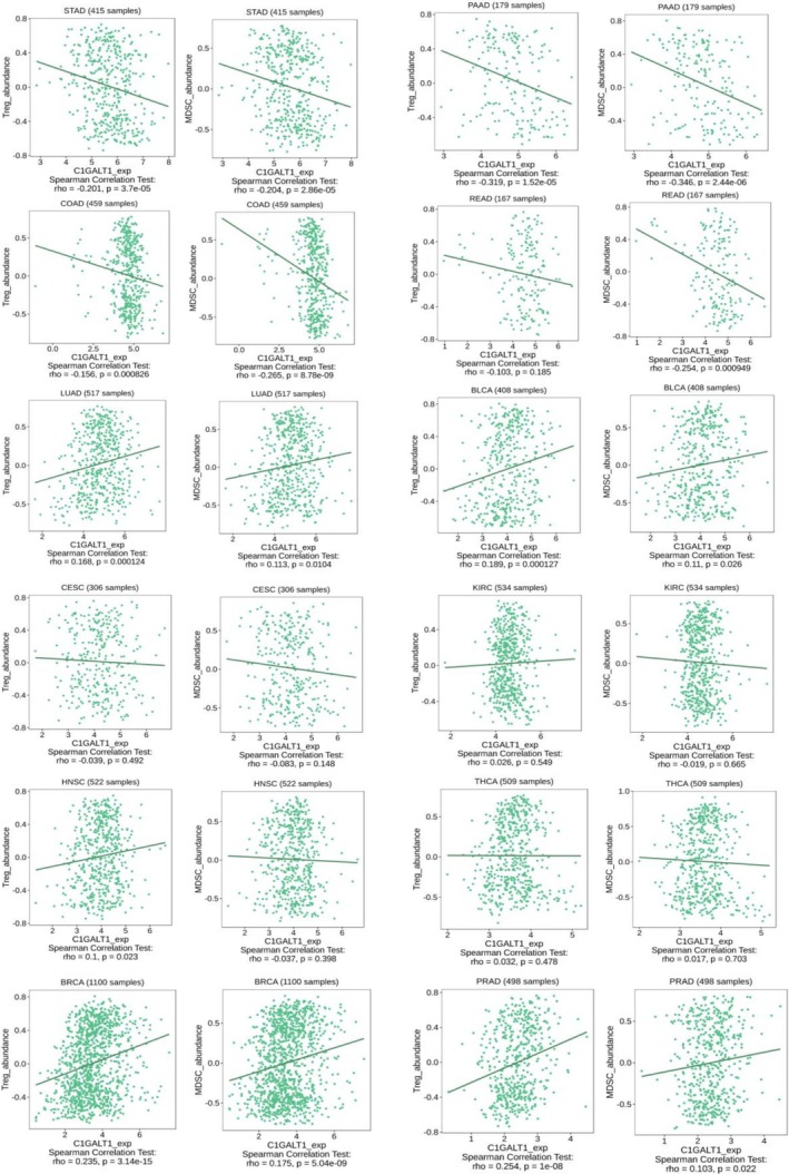 PMC12183607 – cnr270259-fig-0008