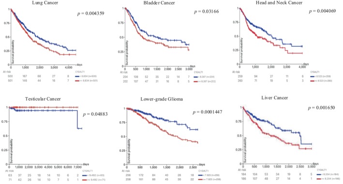 PMC12183607 – cnr270259-fig-0007