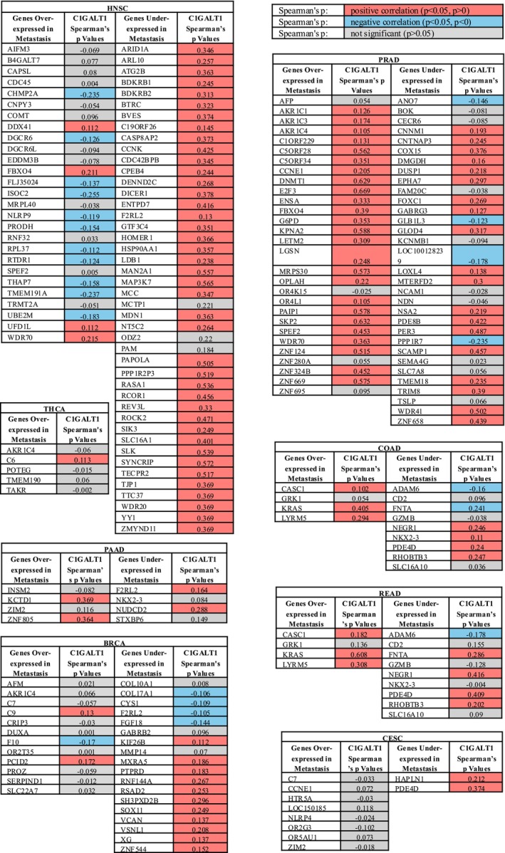 PMC12183607 – cnr270259-fig-0006