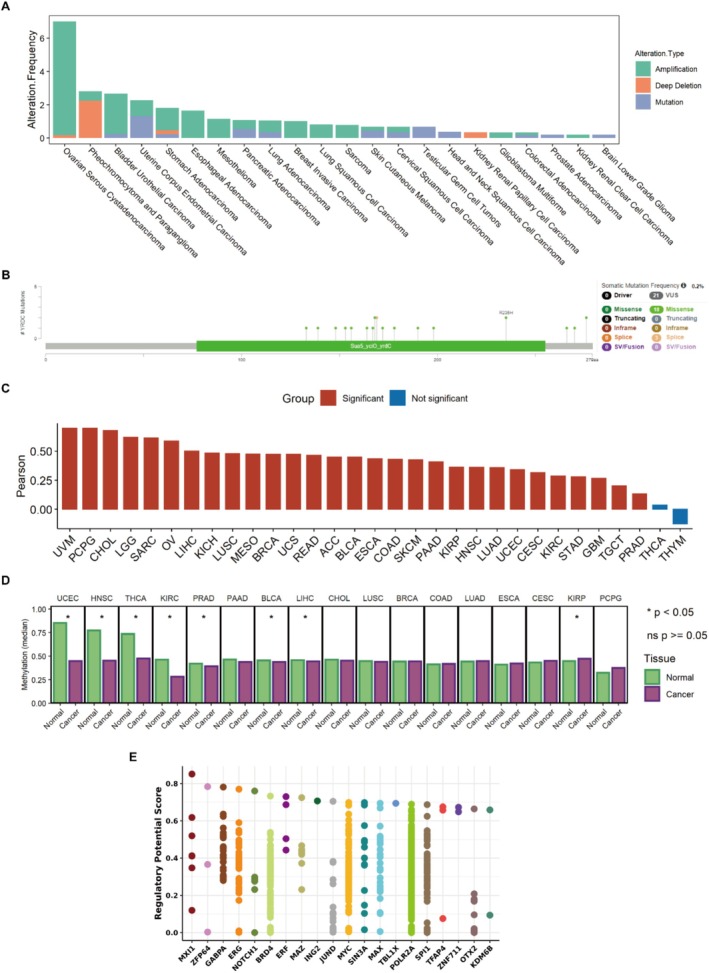 PMC12405056 – cnr270325-fig-0004