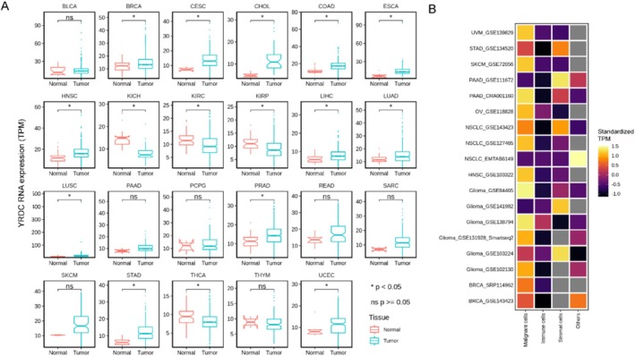 PMC12405056 – cnr270325-fig-0002