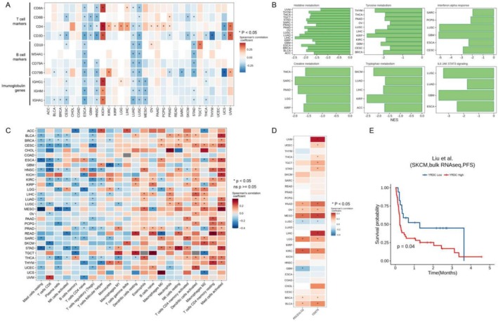 PMC12405056 – cnr270325-fig-0006