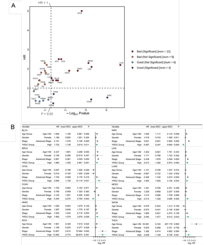 PMC12405056 – cnr270325-fig-0003