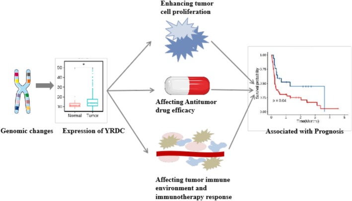 PMC12405056 – cnr270325-fig-0008