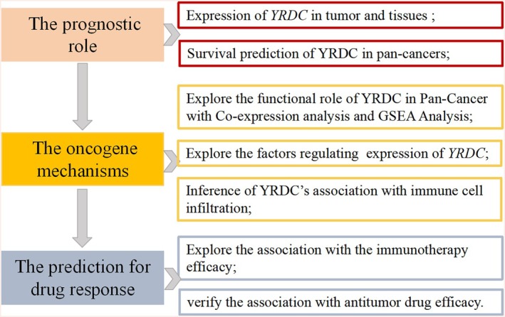 PMC12405056 – cnr270325-fig-0001
