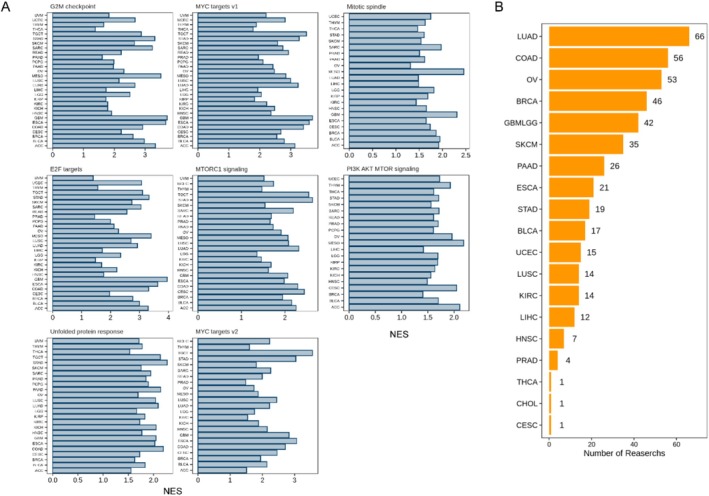 PMC12405056 – cnr270325-fig-0005
