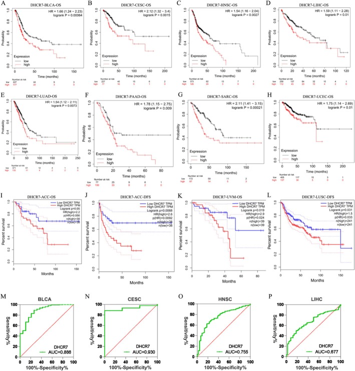 PMC12591708 – cnr270376-fig-0002