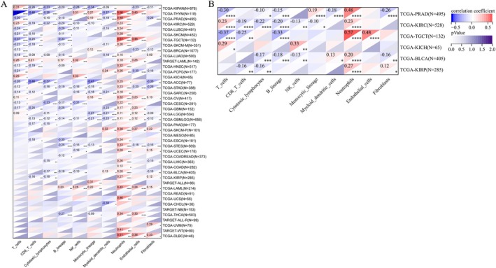 PMC12591708 – cnr270376-fig-0009