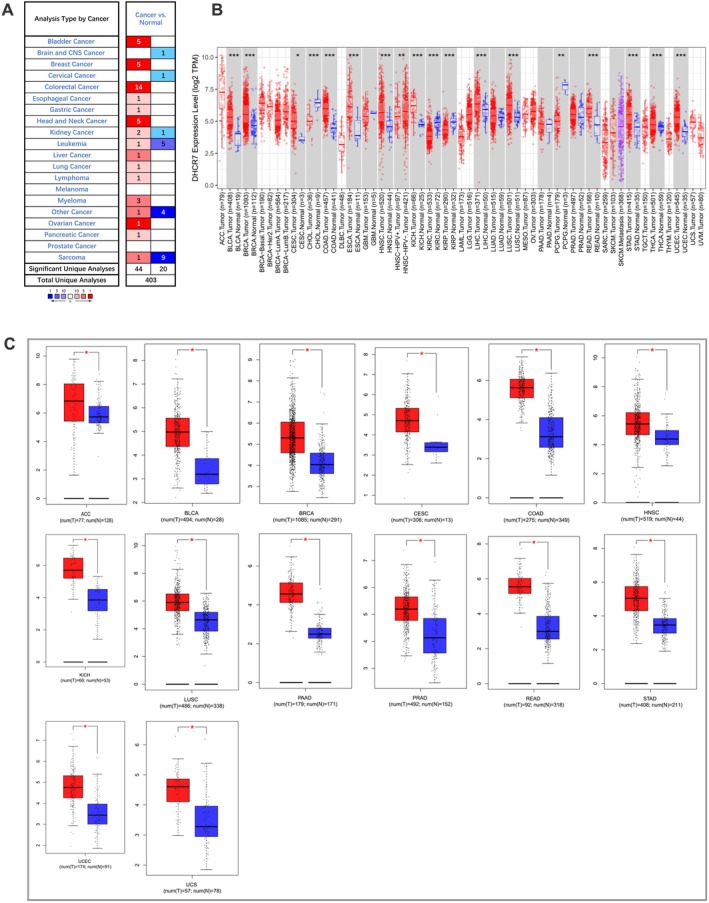 PMC12591708 – cnr270376-fig-0001