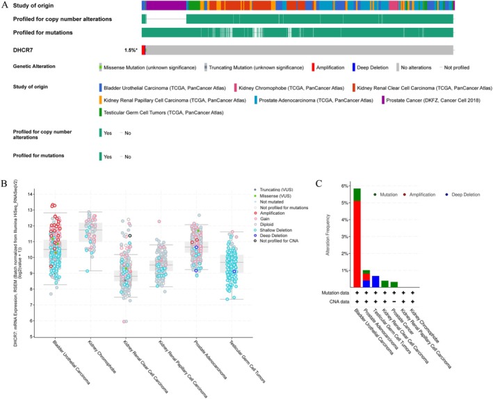 PMC12591708 – cnr270376-fig-0010