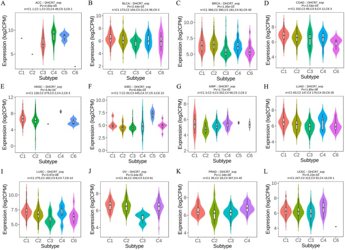 PMC12591708 – cnr270376-fig-0005