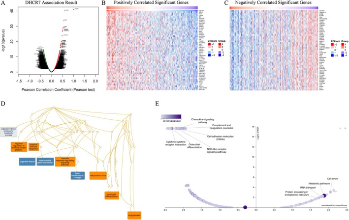 PMC12591708 – cnr270376-fig-0012