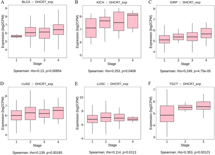 PMC12591708 – cnr270376-fig-0003