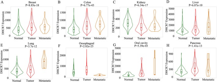 PMC12591708 – cnr270376-fig-0004