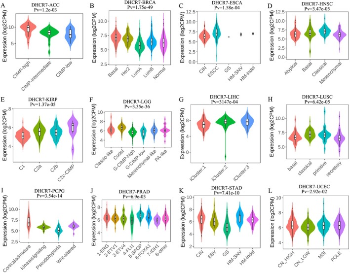 PMC12591708 – cnr270376-fig-0006