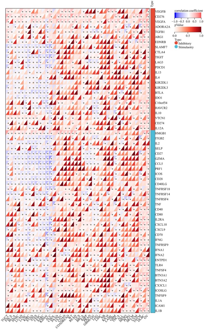 PMC12591708 – cnr270376-fig-0007
