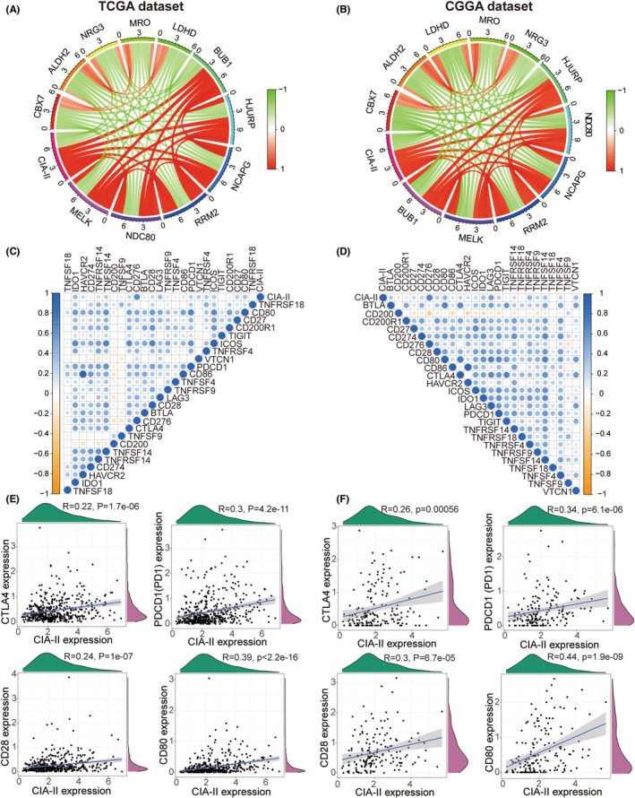 PMC10848044 – cns14340-fig-0005