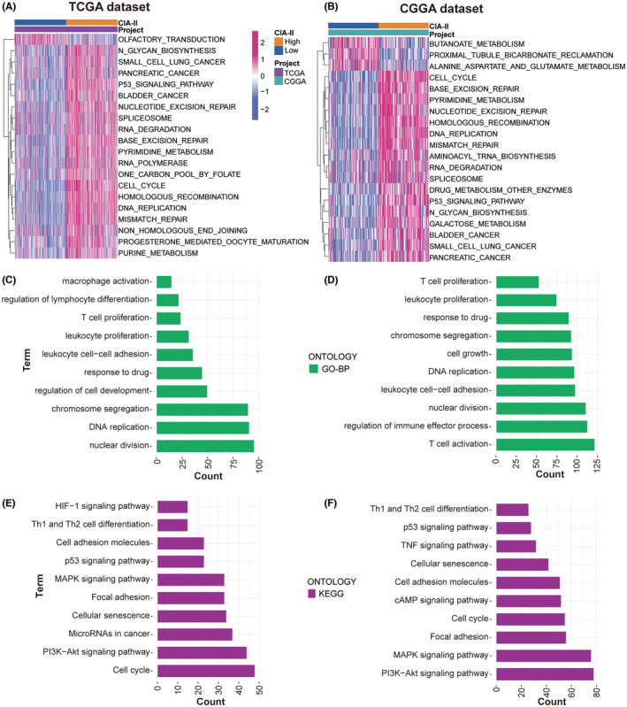 PMC10848044 – cns14340-fig-0004