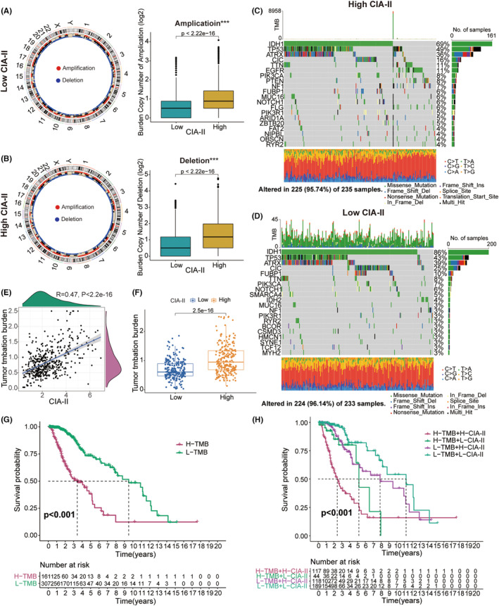 PMC10848044 – cns14340-fig-0007