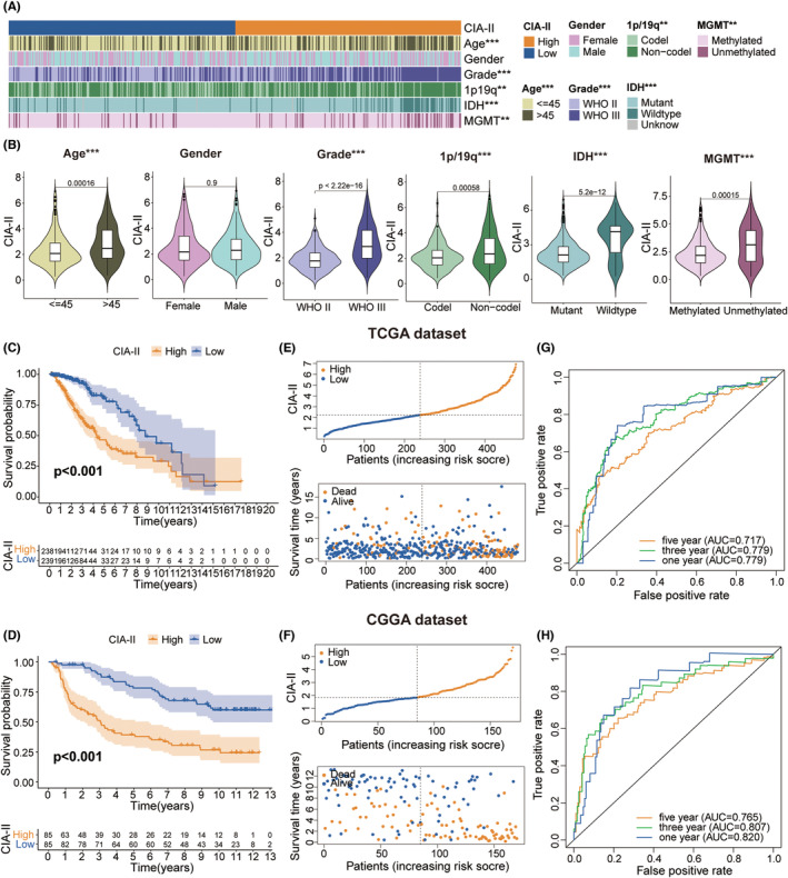 PMC10848044 – cns14340-fig-0003