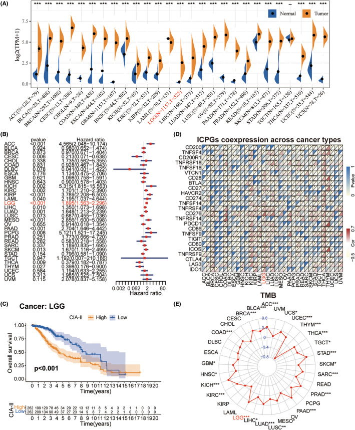 PMC10848044 – cns14340-fig-0002