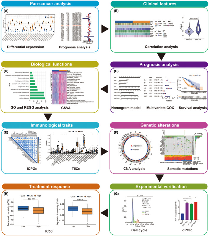 PMC10848044 – cns14340-fig-0001