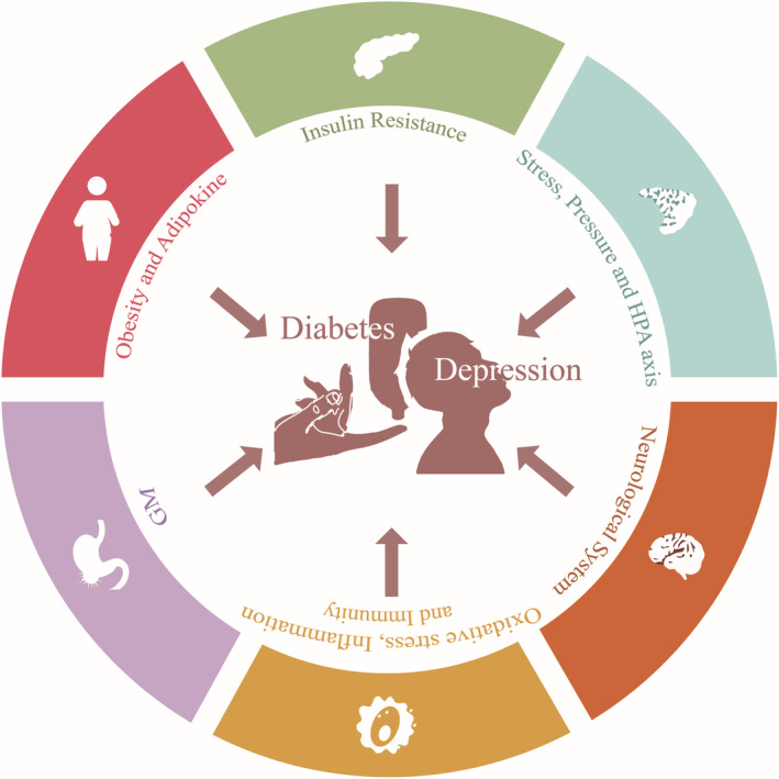 PMC11017426 – cns14497-fig-0001
