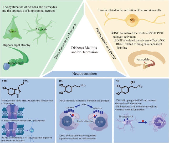 PMC11017426 – cns14497-fig-0002
