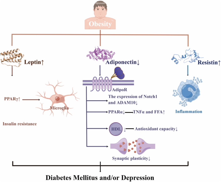 PMC11017426 – cns14497-fig-0003
