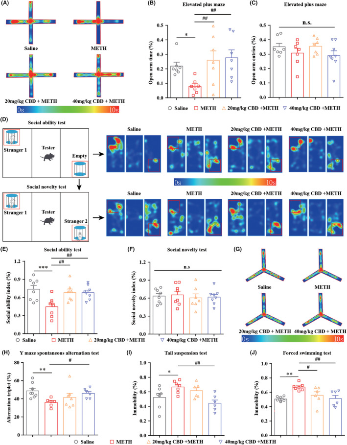 PMC11069028 – cns14737-fig-0003