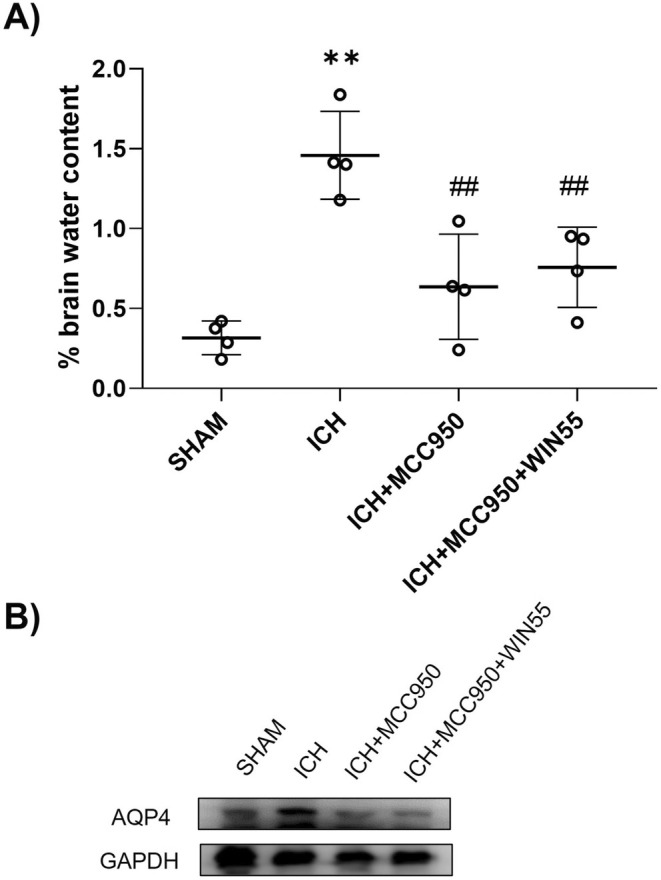 PMC12005396 – cns70385-fig-0009