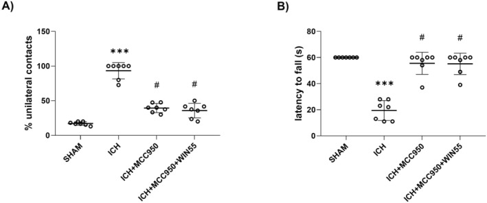 PMC12005396 – cns70385-fig-0007