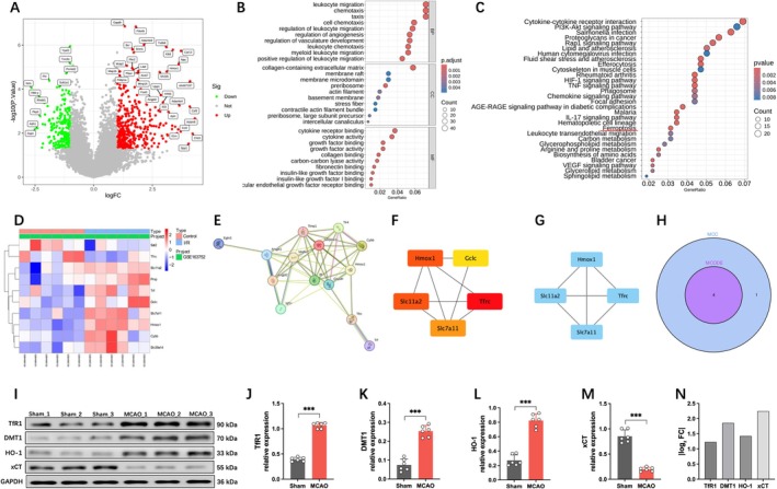 PMC12639186 – cns70662-fig-0002