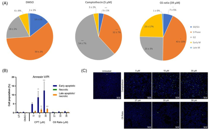 PMC11471428 – cpr13650-fig-0002
