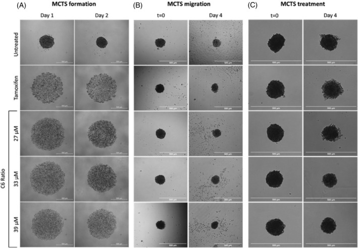 PMC11471428 – cpr13650-fig-0013