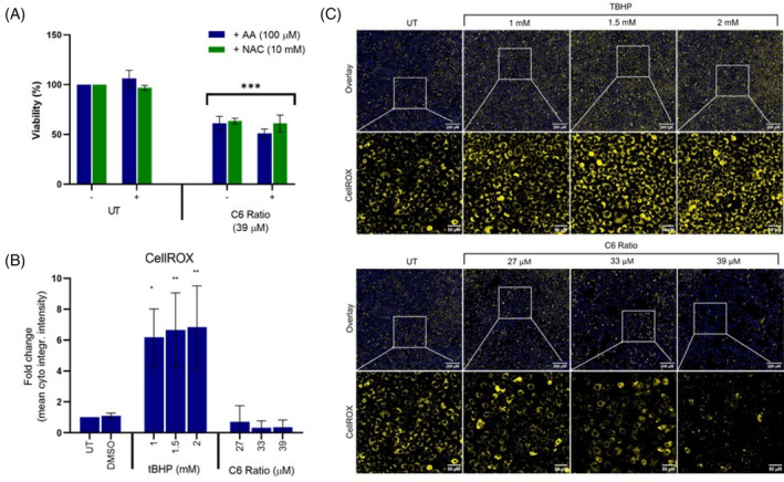 PMC11471428 – cpr13650-fig-0006